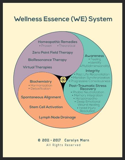Wellness Essence System Chart