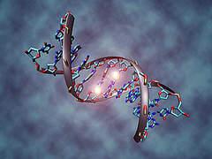 Methylation