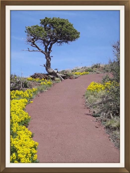 Colourful Path to the Top of Capulin Volcano, New Mexico